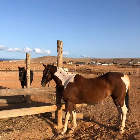 דירה Casa Gino