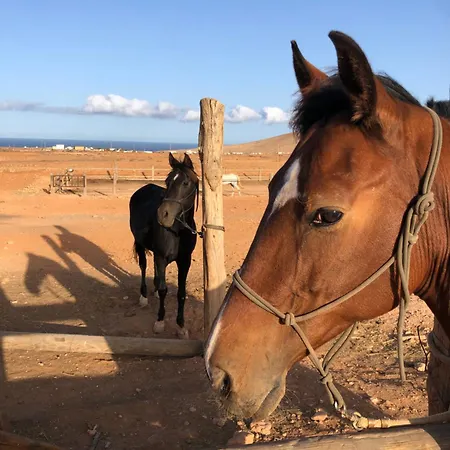 Casa Gino דירה Cotillo